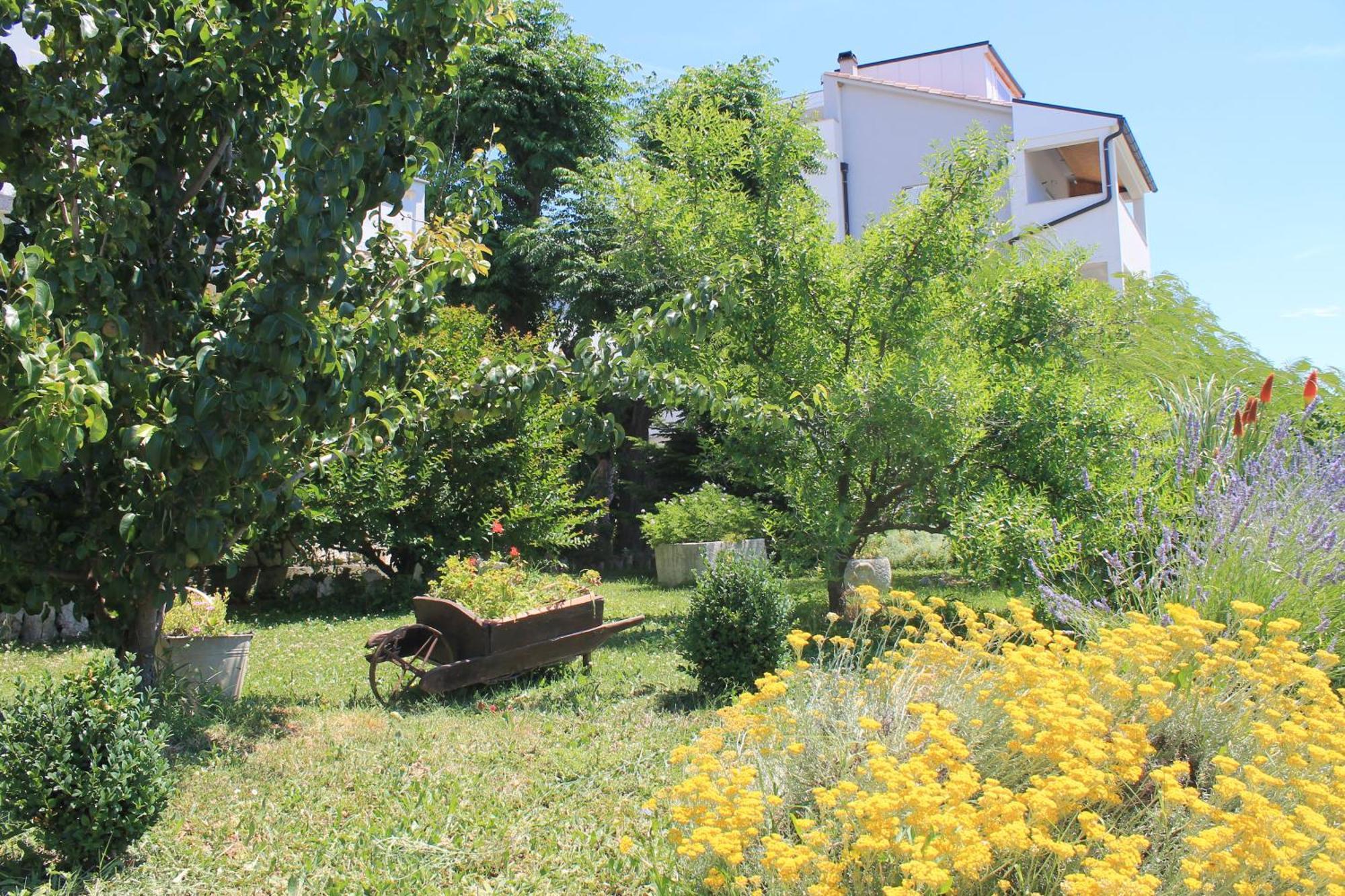 Apartments 501 - Rab Island Oasis Retreat 수페타르스카 드라가 외부 사진