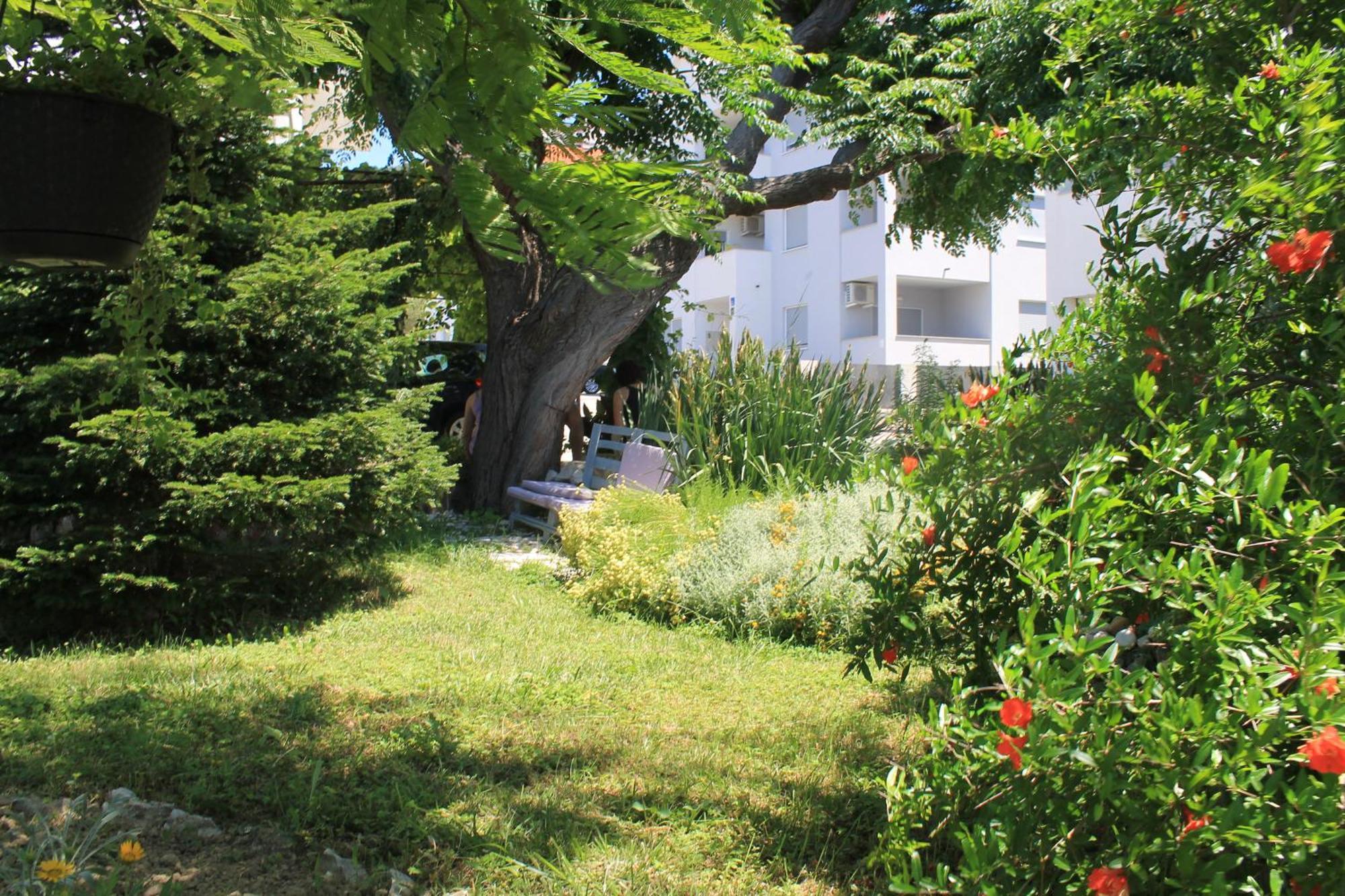 Apartments 501 - Rab Island Oasis Retreat 수페타르스카 드라가 외부 사진