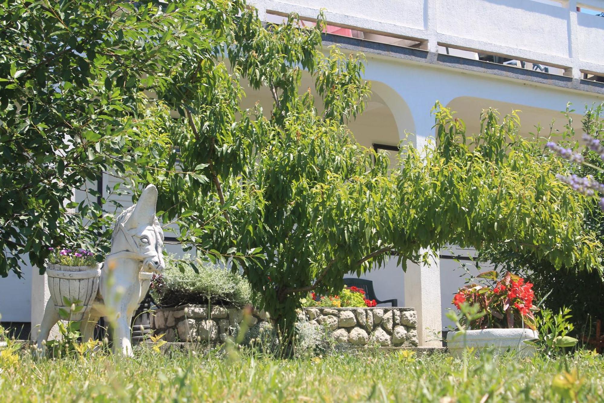 Apartments 501 - Rab Island Oasis Retreat 수페타르스카 드라가 외부 사진