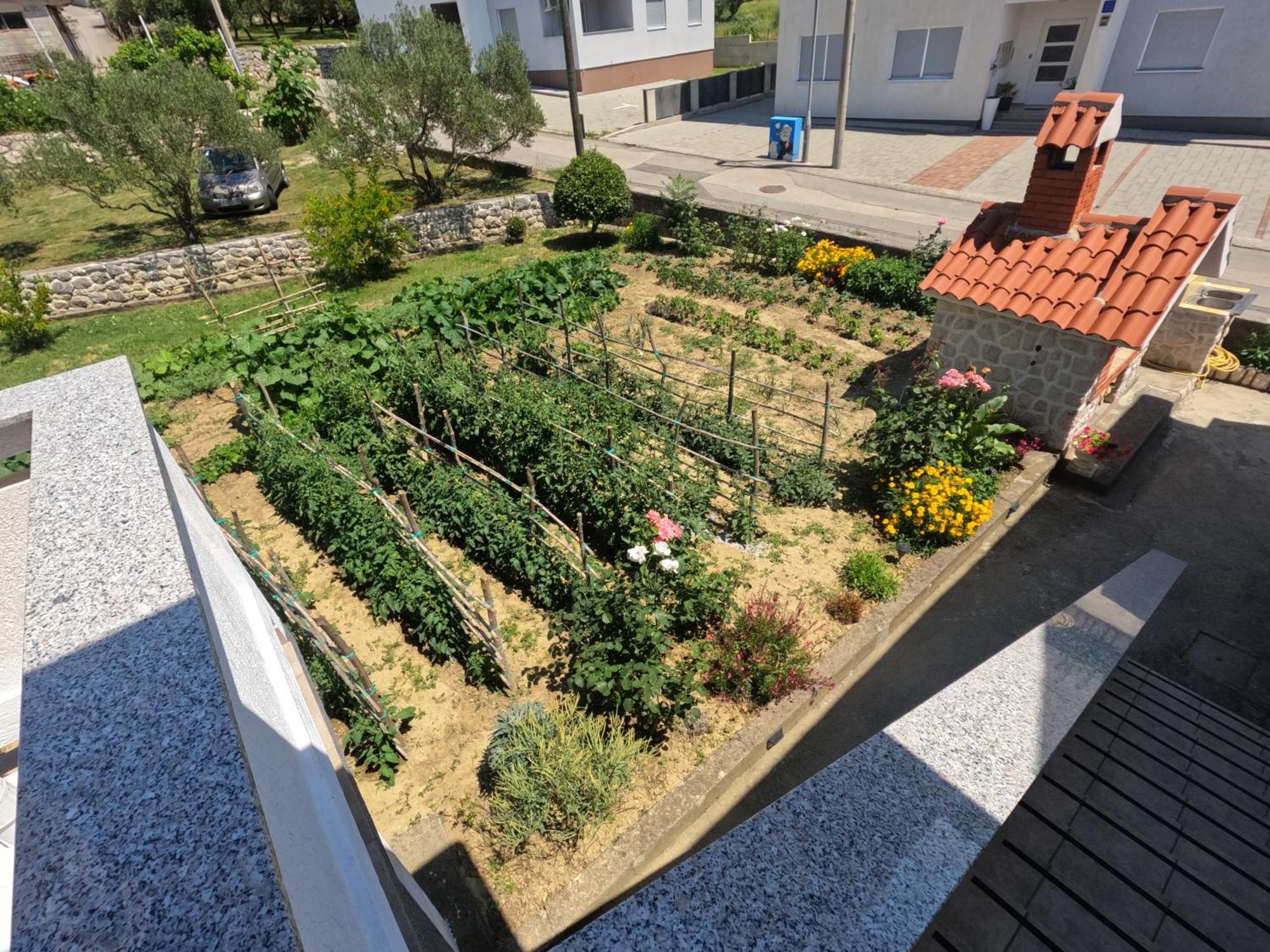 Apartments 501 - Rab Island Oasis Retreat 수페타르스카 드라가 외부 사진